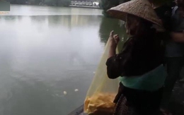 Cụ bà 92 tuổi lặng thầm "nuôi" cá hồ Gươm
